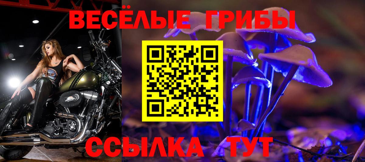 Галлюциногенные грибы GOLDEN TEACHER  Вход с VPN  Минусинск  Галлюциногенные грибы Psilocybe 